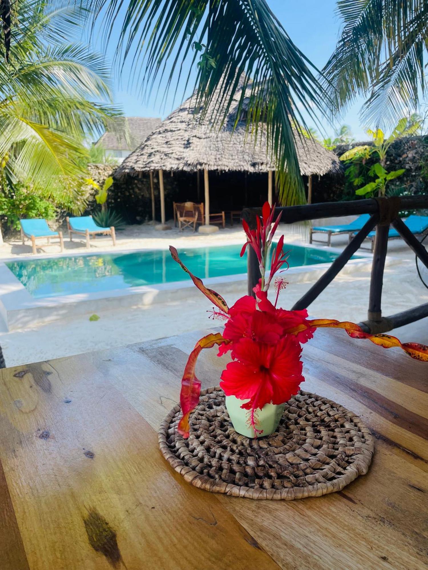 Sand Beach Boutique Apartments Bwejuu Exterior foto